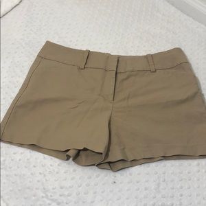 Khaki shorts